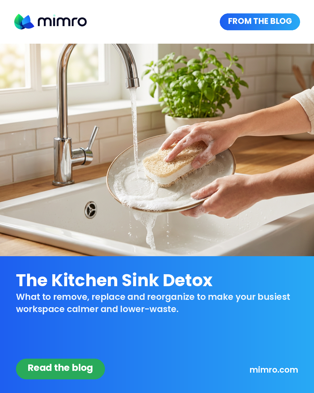 Blog - The Kitchen Sink Detox