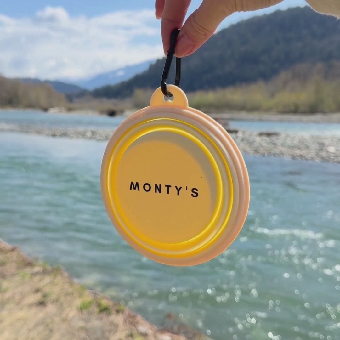 MONTY’S Collapsible Pet Bowl | Available on mimro